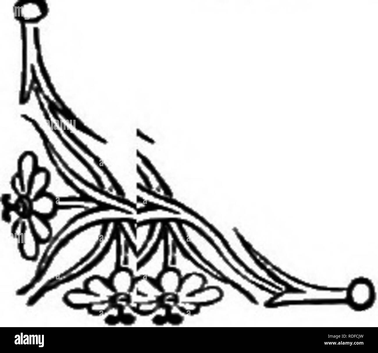 . Il linguaggio dei fiori: o, emblemi floreali di sentimenti, pensieri e sentimenti ... Lingua dei fiori. BLACK THORN. BLACK THORN (Primus spinosd).-difficoltà. Questo arbusto cespuglioso è abbastanza comune nella nostra hedgerows, dove i suoi fiori bianchi visualizzare se stessi a vantaggio in marzo e aprile, ere il Hawthorti è in fioritura, anche se brucia dice:- " il Biancospino il germogliare in Glen e latte-bianco è lo sloe ;" come se entrambi sono stati fioritura allo stesso tempo. La corteccia è di una tonalità marrone quasi prossimo al nero e i rami ter- minate con un forte thorn. Il ben noto frutto sotto il nome di Foto Stock