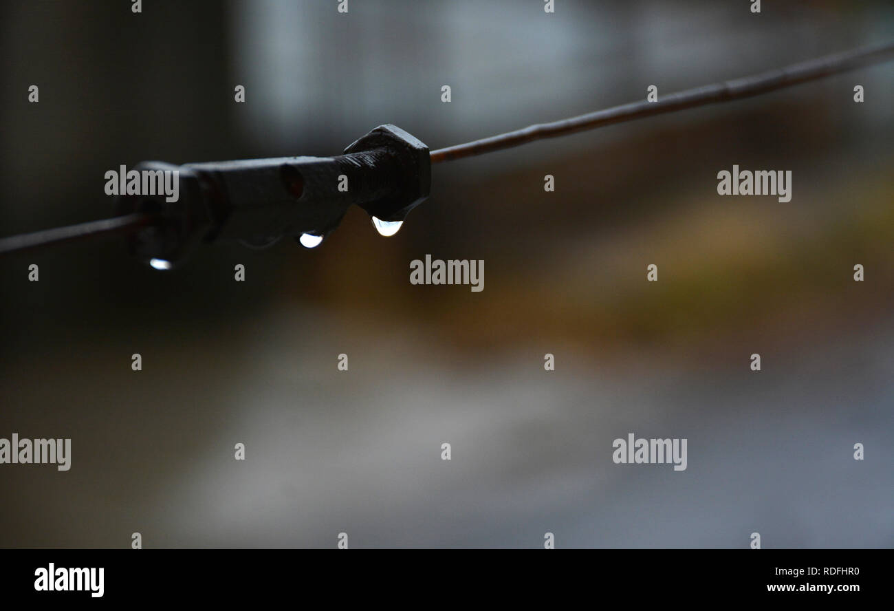 Fresche gocce di pioggia. Gocce sulla stendibiancheria. Gocce d'acqua appesi ad una fune. Foto Stock