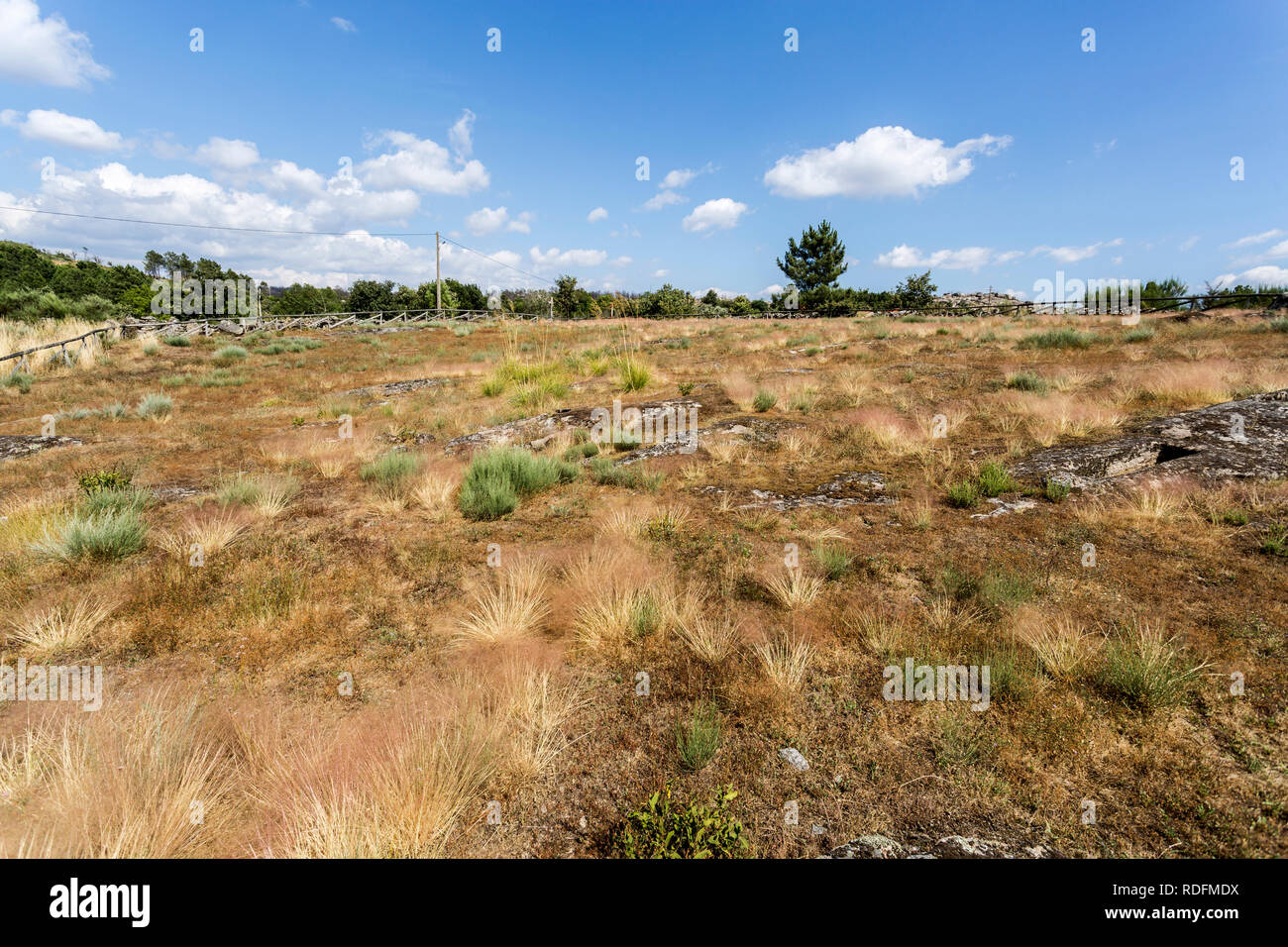 Vista panoramica del primo Medioevo Necropoli di Forcadas con più di venti sepolcri, o siti di interramento, tagliato sulla roccia vicino a Fornos de Algod Foto Stock