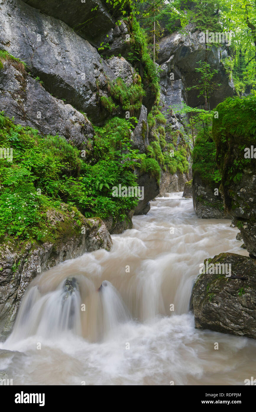 Il fiume Weißbach in esecuzione attraverso la Seisenbergklamm / Seisenbachklamm, gorge vicino Weißbach bei Lofer, Saalachtal, Salisburgo / Salzburger Land, Austr Foto Stock