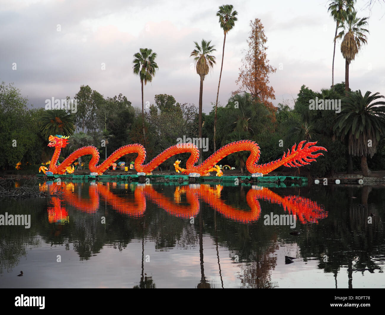Drago Cinese lanterna da Los Angeles Arboretum, CA Foto Stock
