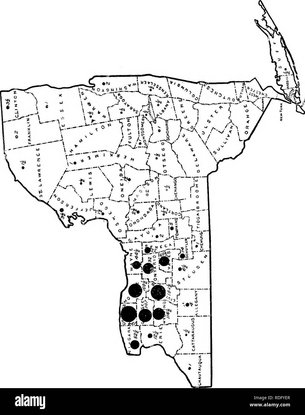 . La filiera vegetale nello stato di New York ... Verdure; GIARDINAGGIO. Beaxs 1519. H O &LT;i u m 'F'l o a un W 'A M P M Q N M ^ (H M K Q R &LT;i 15 tH "&LT; •un Ei:. Si prega di notare che queste immagini vengono estratte dalla pagina sottoposta a scansione di immagini che possono essere state migliorate digitalmente per la leggibilità - Colorazione e aspetto di queste illustrazioni potrebbero non perfettamente assomigliano al lavoro originale. New York Bureau di agricoltori istituti". [Albany Foto Stock