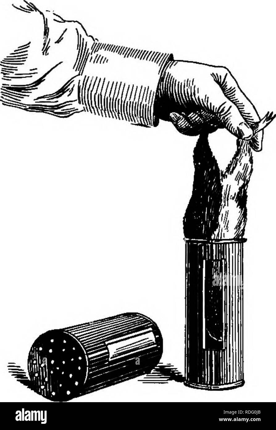 . Il lavoro di laboratorio in batteriologia. Batteriologia. 266 batteriologia. ottenuto da questa procedura sono più rapidi e sono di gran lunga più pericoloso di una iniezione sottocutanea. L'iniezione viene realizzata per mezzo di una siringa o Injec- tion apparato, sopra descritto. Particolare cura deve essere ^ prese per vedere che tutte le bolle d'aria vengono espulsi dalla siringa prima dell'uso. Aria di per sé non è pericoloso, purché esso non sia iniettato rapidamente e in grandi bolle. È bene quindi cominciare l'iniezione il più lentamente possibile. Il coniglio è l'animale impiegato più spesso per questo metodo di iniezione. Questo Foto Stock