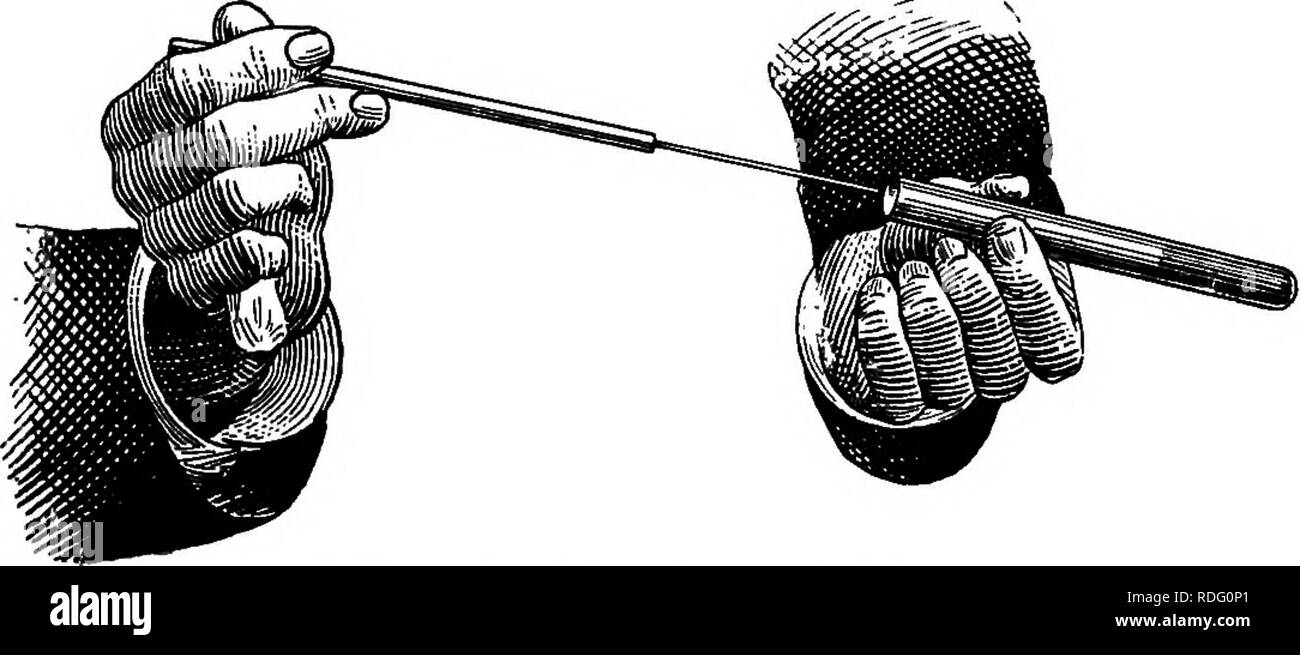 . Il lavoro di laboratorio in batteriologia. Batteriologia. La gelatina e le patate e MEDIA. 173 i fili di platino sono sterilizzati con la loro detenzione nella fiamma, fino alle lampade ad incandescenza. La fine dell'asta di vetro deve sempre essere completamente riscaldata e, se qualsiasi materia organica è presente, come gelatina, dovrebbe essere bruciata. I fili devono essere conservati in una forma conica a prova di vetro (Pig. 43), nella parte inferiore della quale è un po' di cotone.. Fig. 29. L'inoculazione di un singolo tubo. Posizionare i tre della sterilizzato, tubi di gelatina in un'acqua- vasca da bagno che è stata riscaldata a circa 30-35°. Quando la gelatina si scioglie, i tubi sono pronti per inoc Foto Stock . Il lavoro di laboratorio in batteriologia. Batteriologia. La gelatina e le patate e MEDIA. 173 i fili di platino sono sterilizzati con la loro detenzione nella fiamma, fino alle lampade ad incandescenza. La fine dell'asta di vetro deve sempre essere completamente riscaldata e, se qualsiasi materia organica è presente, come gelatina, dovrebbe essere bruciata. I fili devono essere conservati in una forma conica a prova di vetro (Pig. 43), nella parte inferiore della quale è un po' di cotone.. Fig. 29. L'inoculazione di un singolo tubo. Posizionare i tre della sterilizzato, tubi di gelatina in un'acqua- vasca da bagno che è stata riscaldata a circa 30-35°. Quando la gelatina si scioglie, i tubi sono pronti per inoc Foto Stock