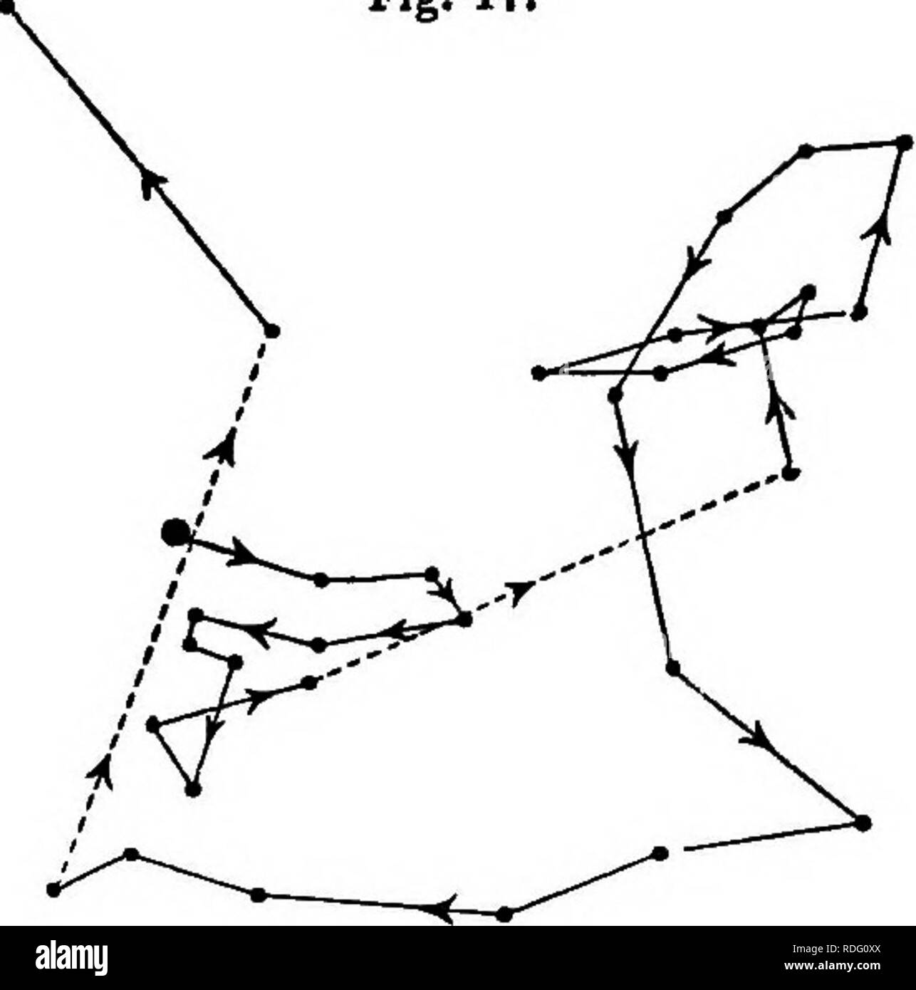 . Il potere di movimento nelle piante . Piante; Botanica. 28 CIECUMNUTATION OP piantine. Cap. Ho Citrus aurantium (arancione) (AurantiaceaB).-i cotiledoni sono ipogei. Il circumnutation di un epicotyl, che alla chiusura delle nostre osservazioni è stata -59 di un pollice (15 mm.) in altezza al di sopra del suolo, è illustrata nella figura allegata (Fig. 17), come osservato durante un periodo di 44h. 40 m. Fig. 17.. Citrus aurantium: circumnutation di epicotyl con un filamento fissato traus- versely vicino al suo apice, tracciata su un piano orizzontale di vetro, dal 12.13 p.m. nel febbraio del xx a 8,55 a.m. su 22nd. Il movimento del tallone del fil Foto Stock