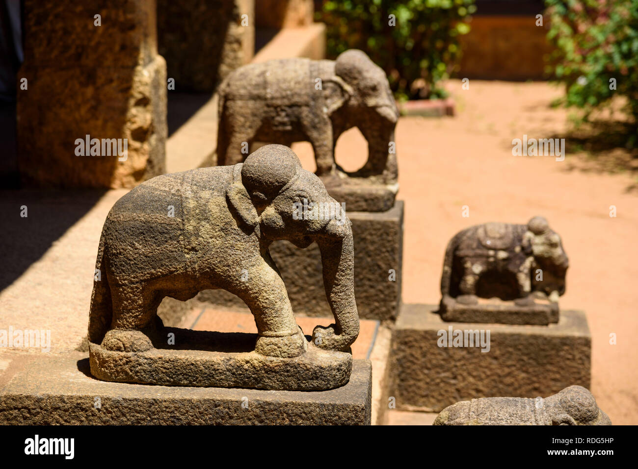 Granito scolpito le statue di elefanti a Padmanabhapuram Palace, Tamil Nadu, India Foto Stock