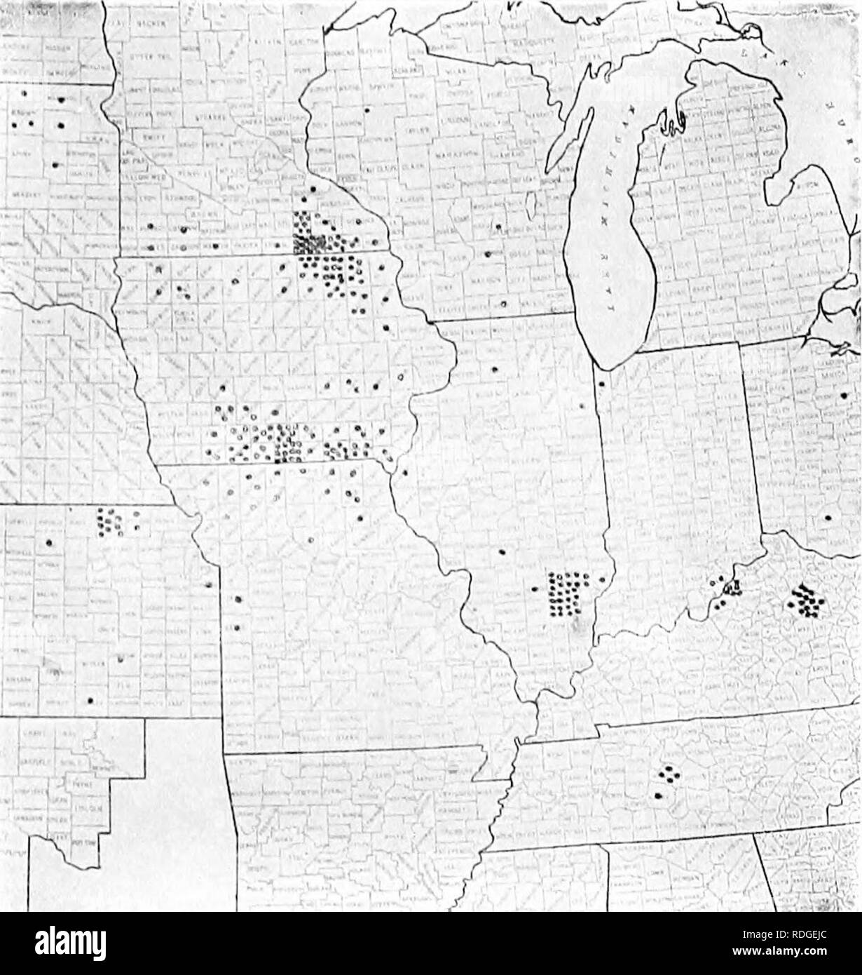 . Erbe azienda agricola degli Stati Uniti; una pratica trattato sul raccolto di erba, la semina e la gestione di prati e pascoli, descrizioni delle migliori varietà, le sementi e le sue impurezze, erbe per le condizioni speciali, etc. etc. Graminacee. Il seme 57. 9 -rKODlICTION DI GKASS-SKKIl in 'IHF. UNllEI) M'ATtS nessee. Le aree delle sementi produe^leone di altri tcrasses sono più hmited. Il famoso Ijhie-i^rass alioiit eoniitry L,exin.&LT;;ton, Ky., ti fornisce la maggior parte dei blue-sementi da prato, una piccola quantità di essere salvato in Southern Illinois e lungo il confine Ijetween Missouri e Iowa. Frutteti di erba c Foto Stock