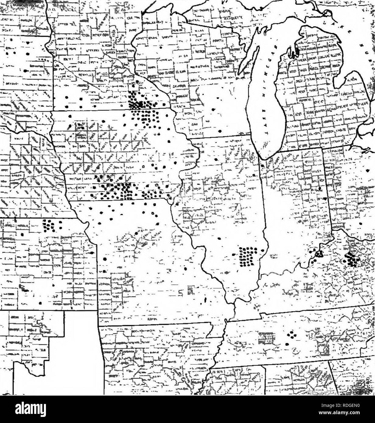 . Erbe azienda agricola degli Stati Uniti; una pratica trattato sul raccolto di erba, la semina e la gestione di prati e pascoli, descrizioni delle migliori varietà, le sementi e le sue impurezze, erbe per le condizioni speciali, etc. etc. Graminacee. Il seme 57 *è^;. FIG. g-PRODUZIONE DI ERBA-SEME NEGLI STATI UNITI nessee. Le aree delle sementi produdlion delle altre erbe sono più limitate. Il famoso blue-erba paese circa Lexington, KY., ti fornisce la maggior parte dei blue-sementi da prato, una piccola quantità di essere salvato in Southern Illinois e lungo il confine tra il Missouri e Iowa. Frutteti di erba proviene fro Foto Stock