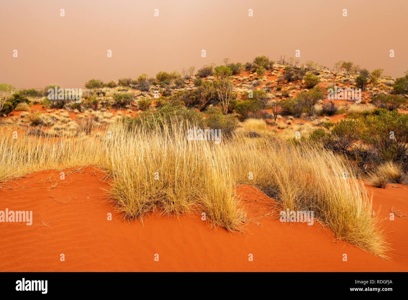 Colore arancio cielo in una tempesta di sabbia nel deserto. Foto Stock