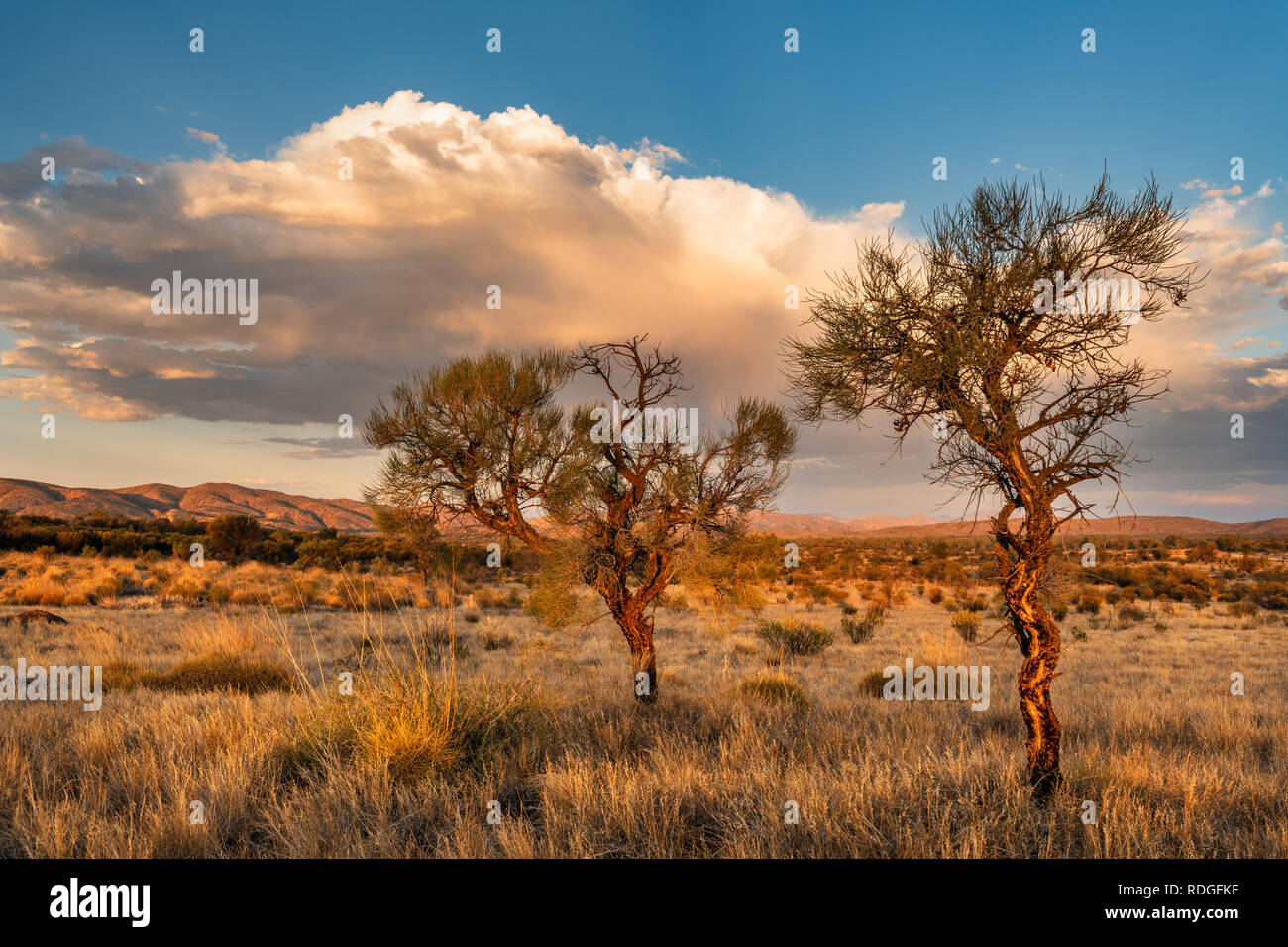 Atmosfera serale in MacDonnell Ranges. Foto Stock