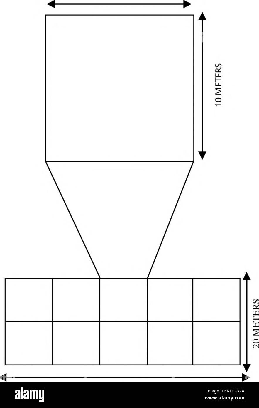 . A sud-est del Montana valutazione delle paludi : sviluppo e raffinazione del Montana valutazione delle paludi e strategia di monitoraggio. Le zone umide; Wetland ecologia. Dieci metri. 50 metri di figura 8. Releve layout grafico (adattato da Peet et al. 1998). Dopo il campionamento ciascuno dei moduli intensivi, il rimanente o residue, moduli sono stati camminato per documentare la presenza di qualsiasi specie non sono registrati nei moduli intensivi. Percentuale di copertura di queste specie è stata stimata su tutta la 1.000 m plot. Nel campo, piante vascolari sono stati identificati usando le piante vascolari del Montana (Dorn 1984) nonché dicotomica accessorie Foto Stock