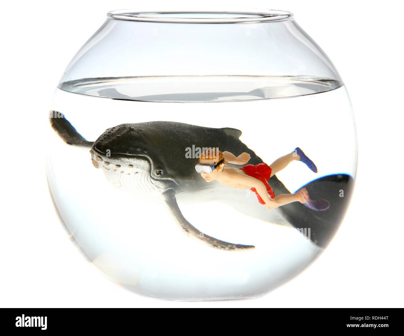 Wind-up toy la figura di un ragazzo di nuoto con una megattera in una terrina di pesce, illustrazione Foto Stock