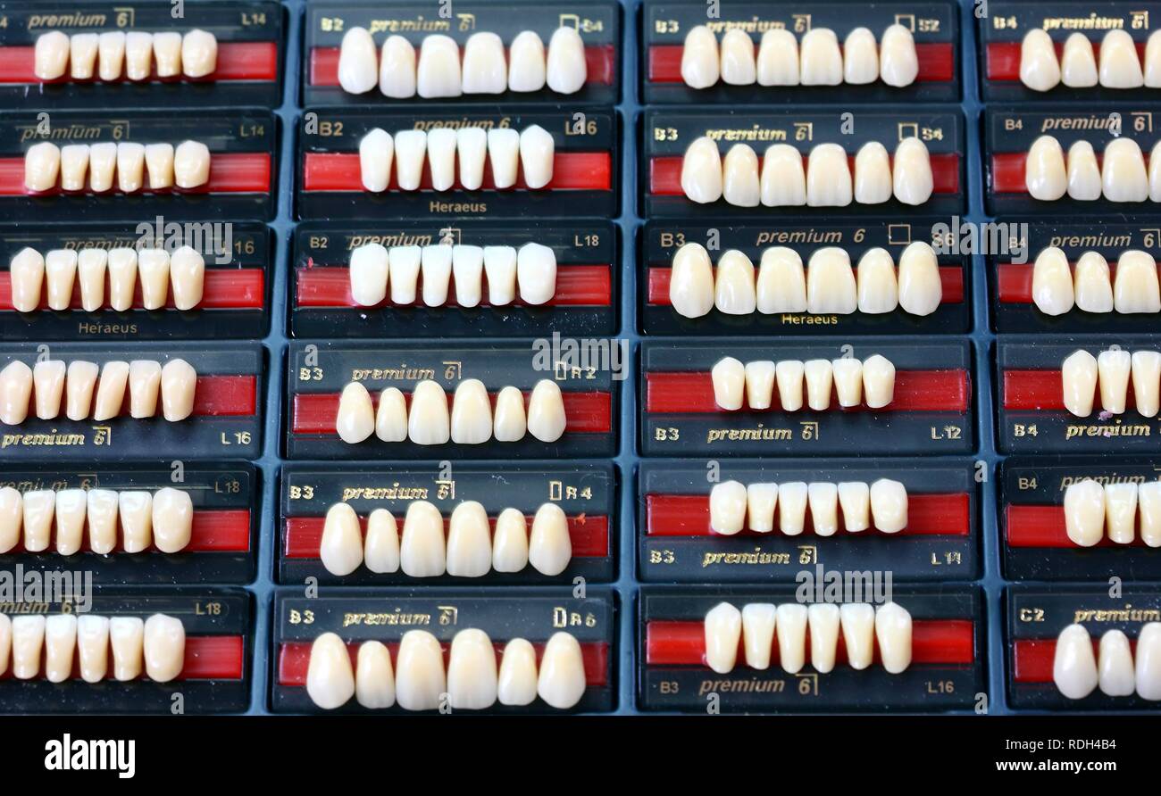 Laboratorio Odontotecnico, fabbricazione di protesi dentarie da parte di un maestro artigiano dei campioni di colore, denti frontali Foto Stock