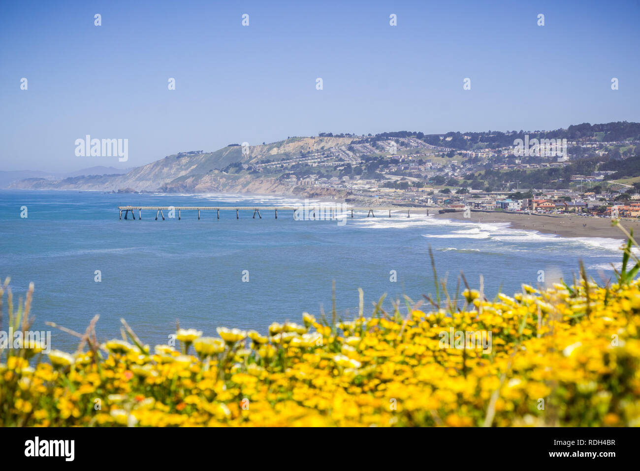 Superbloom a Mori punto, pacifica, la baia di San Francisco, California Foto Stock