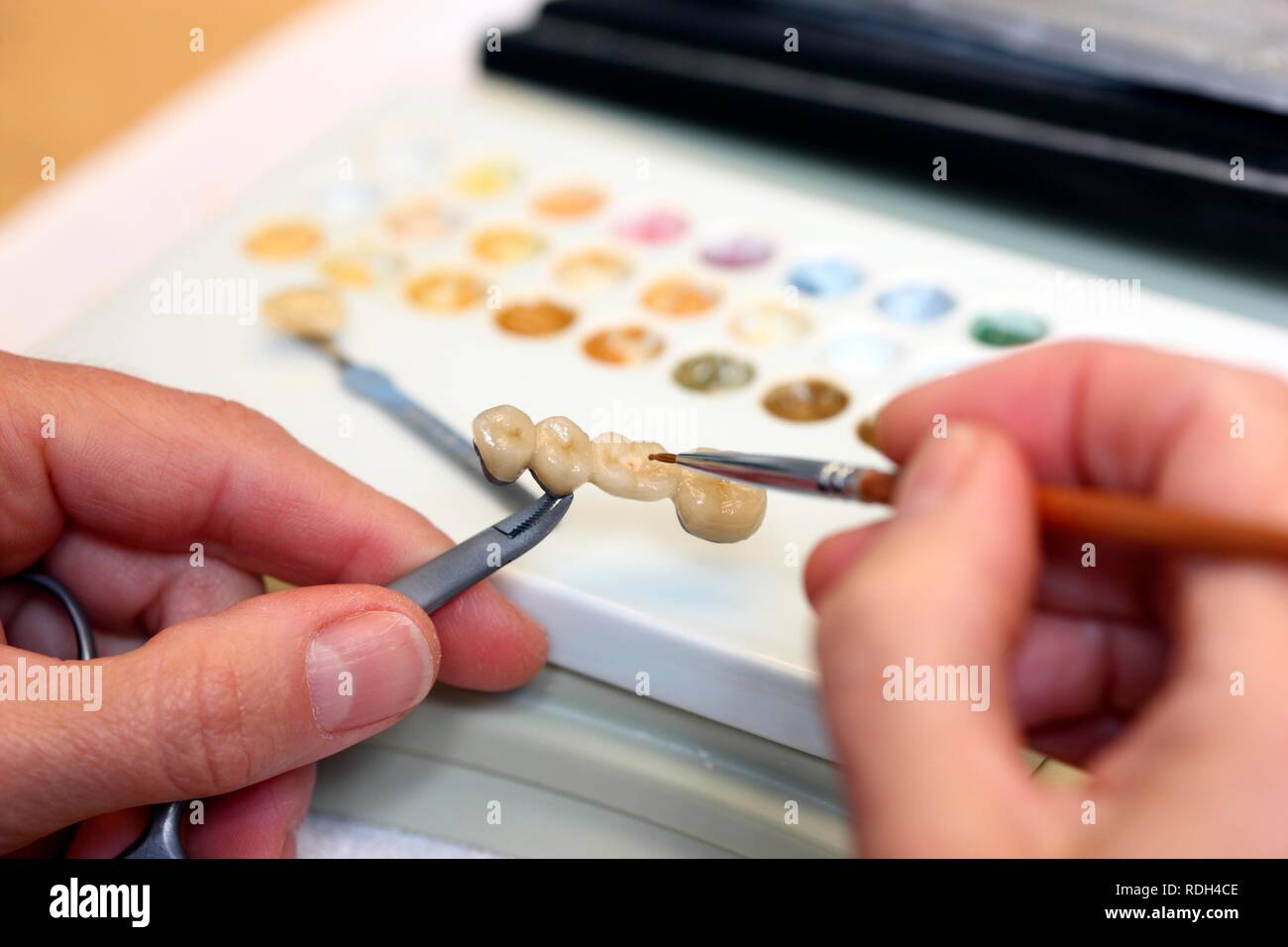 Laboratorio Odontotecnico, fabbricazione di protesi dentarie da parte di un maestro artigiano, colore caratterizzazione di un ponte dentale prima Foto Stock