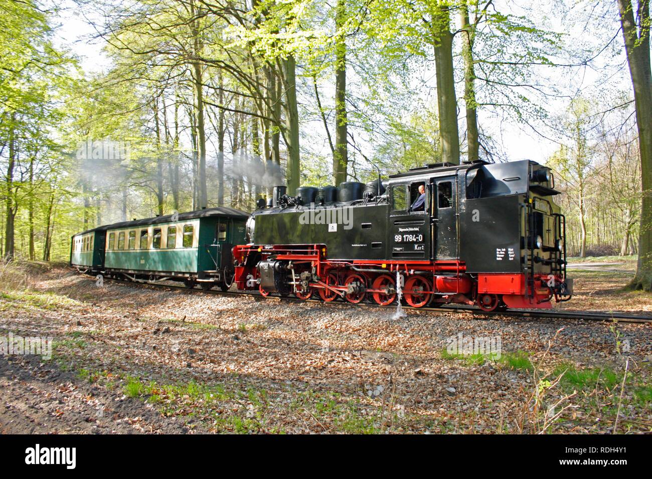 Locomotiva a vapore, Rasender Roland, Ruegen Isola, Meclemburgo-Pomerania Occidentale Foto Stock