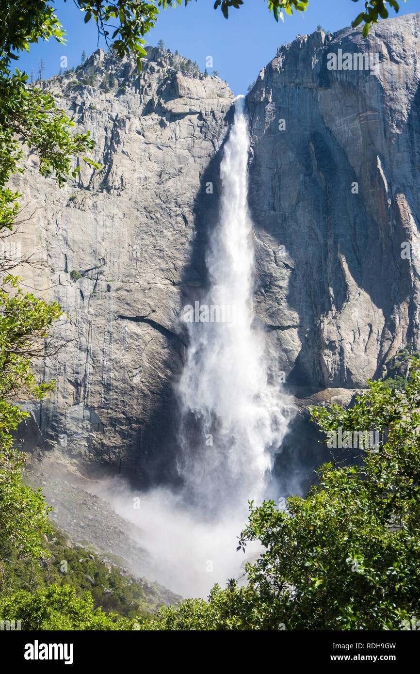 Superiore di Yosemite Falls, del Parco Nazionale Yosemite in California Foto Stock