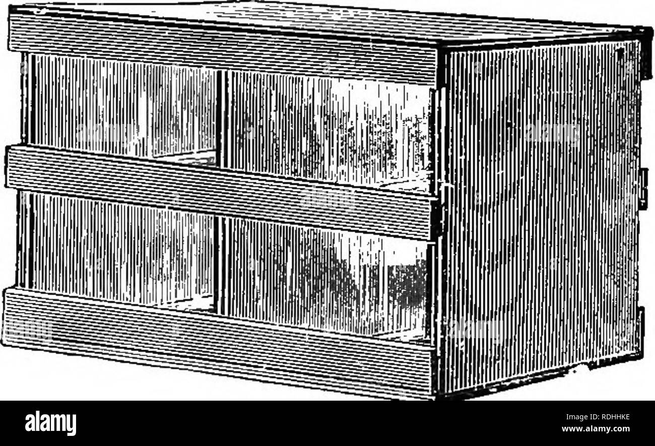 . L'apicoltore di guida; oppure, manuale dell'apiario. Le api. 382 thb bee-kbeper's guide ; dovrebbero essere inseriti in essi. Le sezioni devono essere in appoggio sui ramponi, che sono inchiodati a tenere la carta. Dobbiamo fare tutto il possibile per evitare perdite^. Il sig. Heddon consente di ottenere un ingrandimento del caso (Fig. 191), che è pulito e a buon mercato. È meglio avere single-tier casi (Fig. 190), e quando è piena non devono pesare più di venti-quattro libbre. Fig. 191.. Shipping-Case.-da- James Heddon. Tuttavia, alcuni preferiscono quarantotto pound casi. Questi sono il doppio (Fig. 191). Anche dodici-pound casi sono preferite da molti. Fig. 192. |WHII£COM Foto Stock