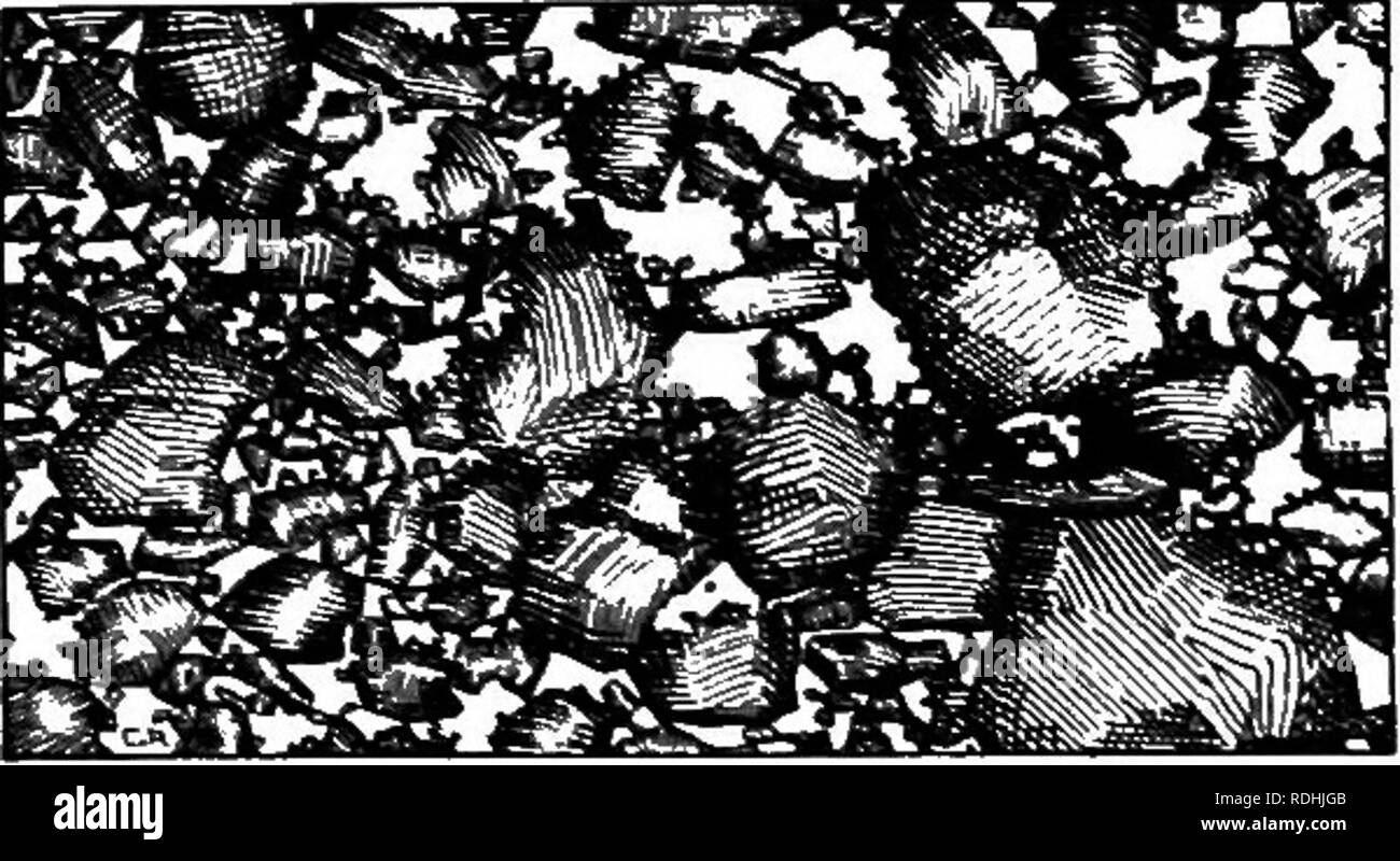 . Dry-agricoltura; un sistema di agricoltura per i paesi sotto una bassa piovosità. L'aridocoltura. 56 DRY-agricoltura in questa connessione che differenze climatiche possono e di solito non influenza significativamente il carattere di suoli formati da uno e lo stesso tipo di roccia. Caratteristiche dei terreni aridi del risultato netto del suolo-processi di formatura sopra descritto è una roccia di polvere contenente una grande varietà di dimensioni di grani di terreno mescolato con argilla. Il suolo maggiore di grani di sabbia chiamato; minore, limo, e quelli che sono così piccole che in Fig. 17. Il suolo è una miscela di particelle di essi non cedano molto variare Foto Stock