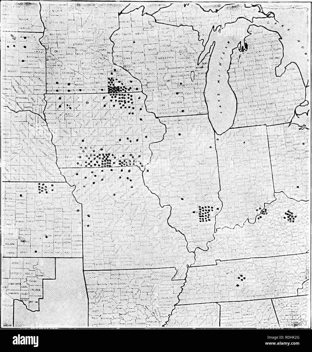 . Erbe azienda agricola degli Stati Uniti; una pratica trattato sul raccolto di erba, la semina e la gestione di prati e pascoli, descrizioni delle migliori varietà, le sementi e le sue impurezze, erbe per le condizioni speciali, etc. etc. Graminacee. Il seme 57. FIG. 9-PRODUZIONE DI ERBA-SF.ED NEGLI STATI UNITI nessee. Le aree delle sementi produdlion delle altre erbe sono più limitate. Il famoso blue-erba paese circa i^exington, Ky., ti fornisce la maggior parte dei blue-sementi da prato, una piccola quantità di essere salvato in Southern Illinois e lungo il confine tra il Missouri e Iowa. Frutteti di erba proviene da ne Foto Stock