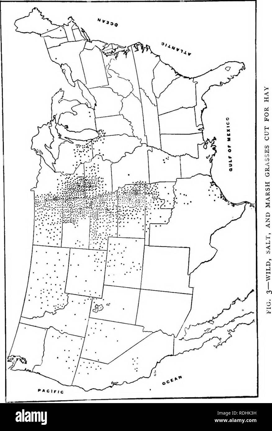 . Erbe azienda agricola degli Stati Uniti; una pratica trattato sul raccolto di erba, la semina e la gestione di prati e pascoli, descrizioni delle migliori varietà, le sementi e le sue impurezze, erbe per le condizioni speciali, etc. etc. Graminacee. . Si prega di notare che queste immagini vengono estratte dalla pagina sottoposta a scansione di immagini che possono essere state migliorate digitalmente per la leggibilità - Colorazione e aspetto di queste illustrazioni potrebbero non perfettamente assomigliano al lavoro originale. Spillman, W. J. (William Jasper). New York, O. Judd company Foto Stock