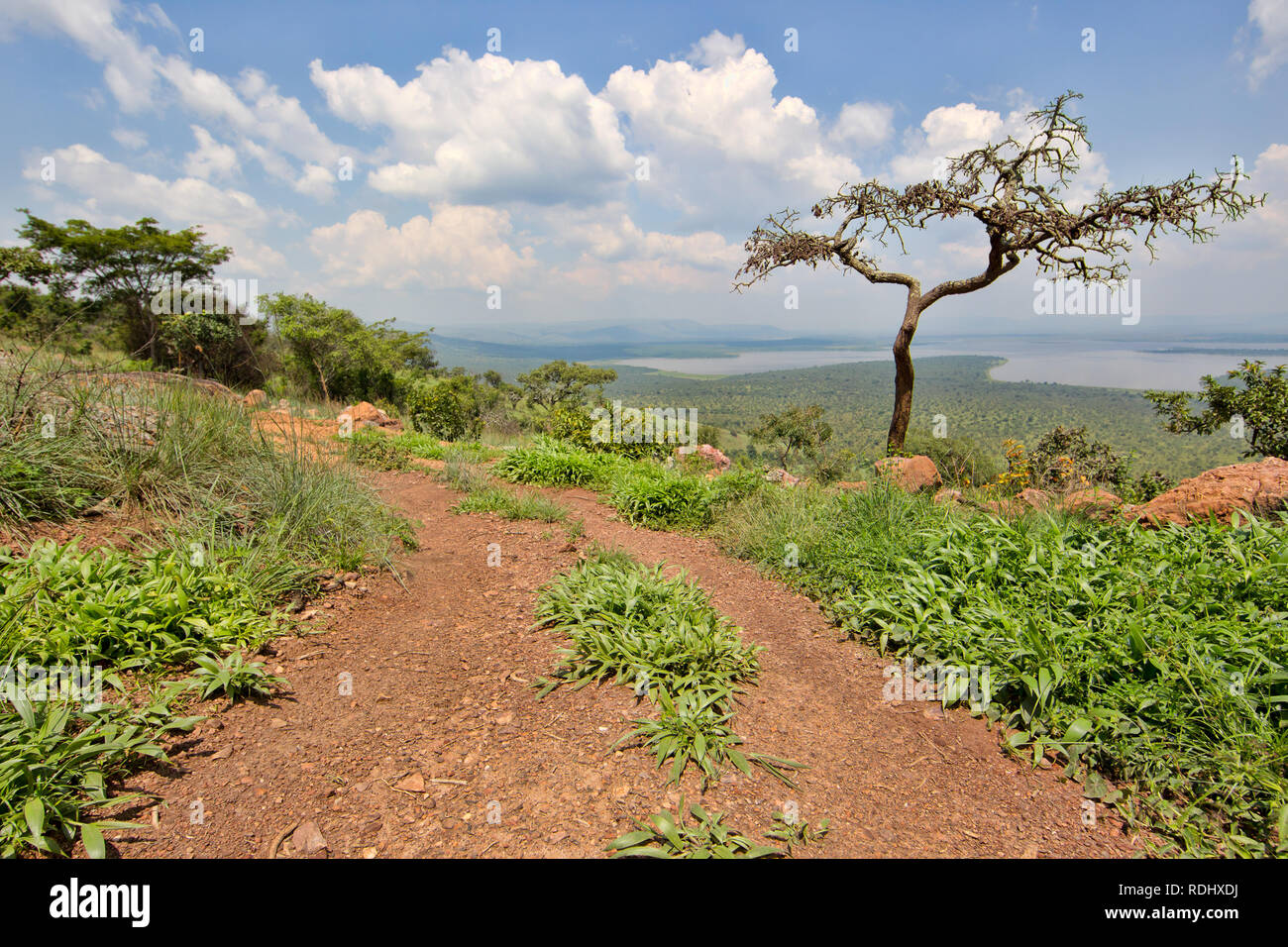Akagera National Park, il Parc National de l'Akagera, Provincia Orientale, il Rwanda è un recupero di area di conservazione. Foto Stock
