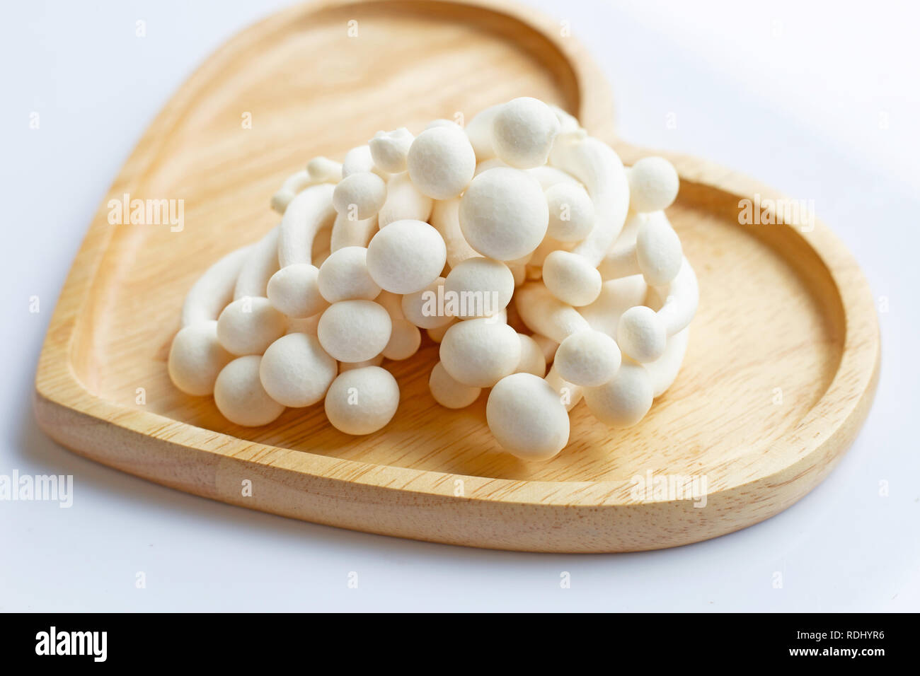 Faggio bianco di funghi shimeji, funghi, funghi commestibili su sfondo bianco. Foto Stock