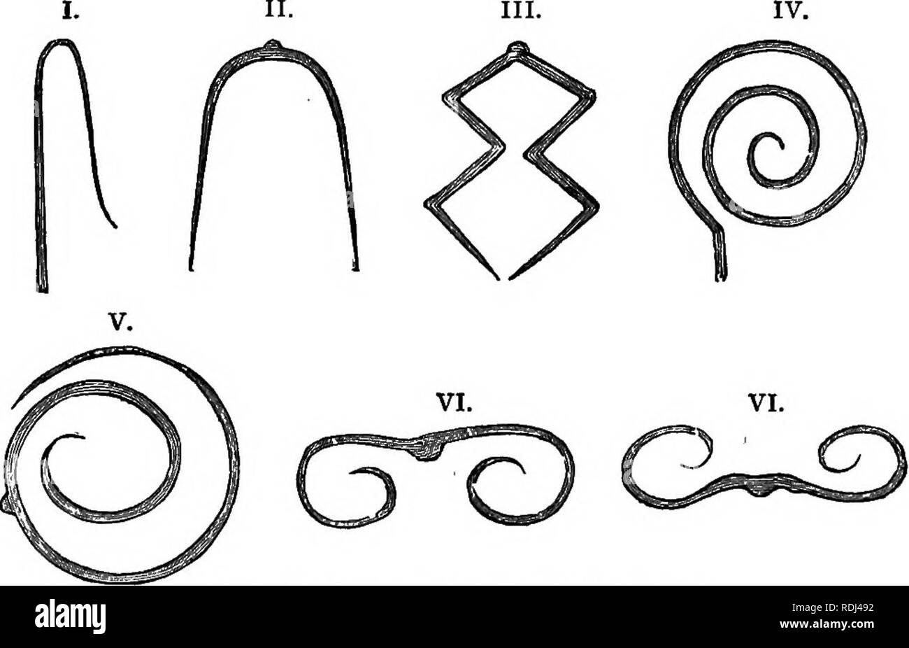 . Botanica elementare : teorico e pratico. Un libro di testo progettato principalmente per gli studenti delle classi di scienze connesse con la scienza e il dipartimento arte del comitato del consiglio per l'istruzione . La botanica. Fig. 96.-i vari elementi del processo di germogliare. Se l'apice si avvicina alla base, come in Tulip-tree (fig. 97, i.), è reclinate. Se i due bordi si incontrano, lasciando il controfiletto al centro, come in rovere e Magnolia (11.), è. Fig. 97. -Vari metodi di foglia-piegatura in boccioli. conduplicate. Se ciascun lato essere ripiegato più volte come un ventilatore come Lady manto, essere Foto Stock
