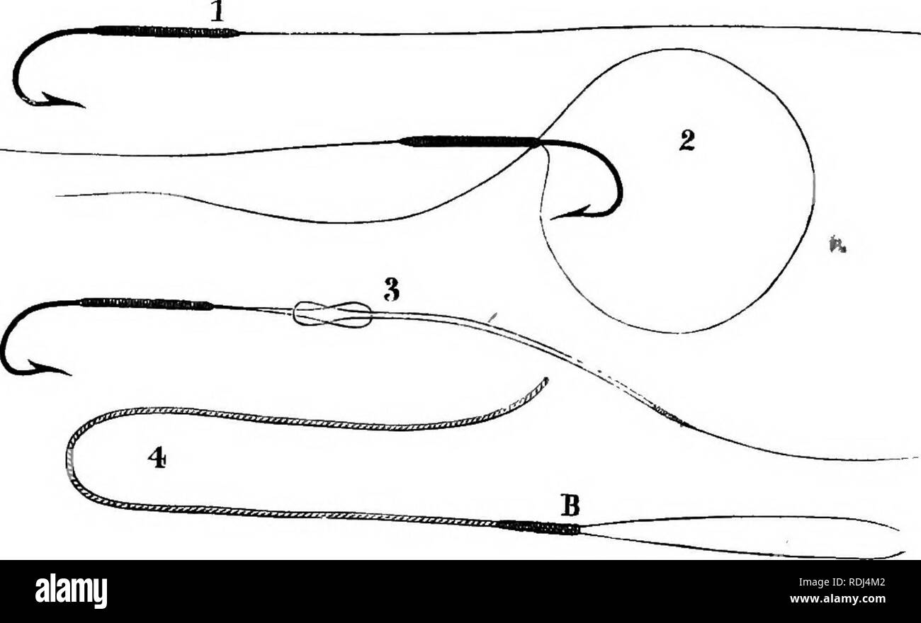 . La American Angler's prenota: abbracciando la storia naturale di pesci sportivi, e l'arte della loro assunzione. Con le istruzioni nella pesca a mosca, fly-making, e l'asta-fare; e le indicazioni per allevamento di pesci. A cui è annessa, muore piscatoriae: descrizione notare la pesca-luoghi e il piacere solitaria di pesca a mosca. Illustrato con ottanta incisioni su legno. La pesca; Pesci. 406 AMERICAN ANGLER'S PRENOTA. La seta è aspirata attraverso, e la cera superfluo spazzato via da disegno è tra il pollice e il dito. Per legare in su un gancio.-Tenere il gancio con la mano sinistra tra il pollice e l'indice con il Foto Stock