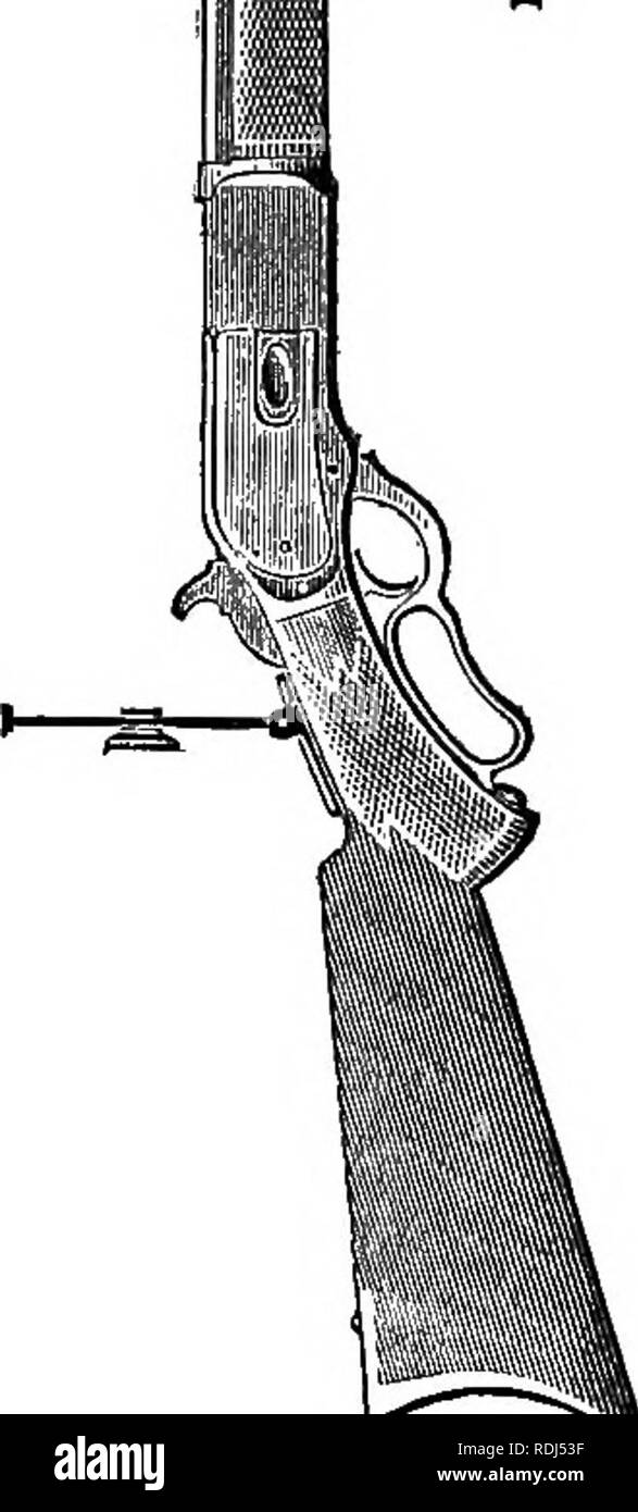 . Pratico di tassidermia e decorazione della casa; insieme con informazioni di carattere generale per gli sportivi. Di tassidermia. 42 Pratico di tassidermia.. CHAPTEE V. PISTOLE E CASI DI RACCOLTA. Le tasse in ripresa dovrebbe essere variata e il dilettante, m par- o sovracapacità per particolari, deve sapere che una pistola non risponderà a un obiettivo generale per il grande gioco, quando è ripresa rapida, nuovo e migliorato di verricelli- ter Eepeatmg Kifle è, io thmk, molto migliore arma. Si spara una cartuccia contenente 75 granelli di polvere e un proiettile di 350 grammi. Questa carica è potente e suffi- ciente per uccidere il più grande American animali, sebbene l'arma Foto Stock