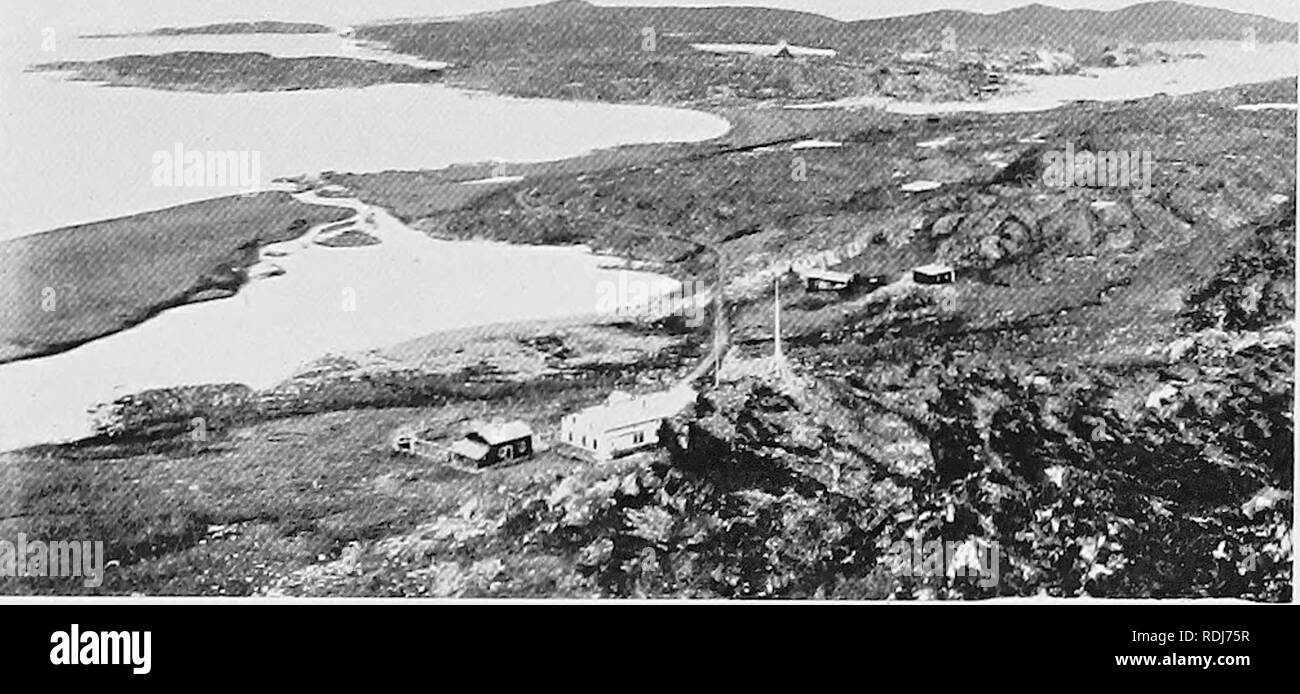 . Un'estate in Groenlandia. Storia naturale. Piastra VI FIG. 8. GODHAVN harbour la freccia punti allo scafo della "Fox" sulla spiaggia. FIG. 9. GODHAVN, da sopra la stazione di artico la freccia che punta verso la stazione di Outlook. Si prega di notare che queste immagini vengono estratte dalla pagina sottoposta a scansione di immagini che possono essere state migliorate digitalmente per la leggibilità - Colorazione e aspetto di queste illustrazioni potrebbero non perfettamente assomigliano al lavoro originale. Seward, A. C. (Albert Charles), 1863-1941. Cambridge : presso la University Press Foto Stock