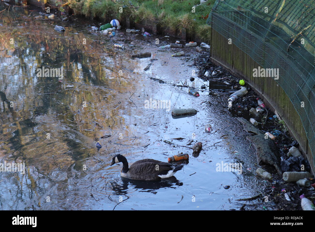 Inquinamento di plastica Foto Stock