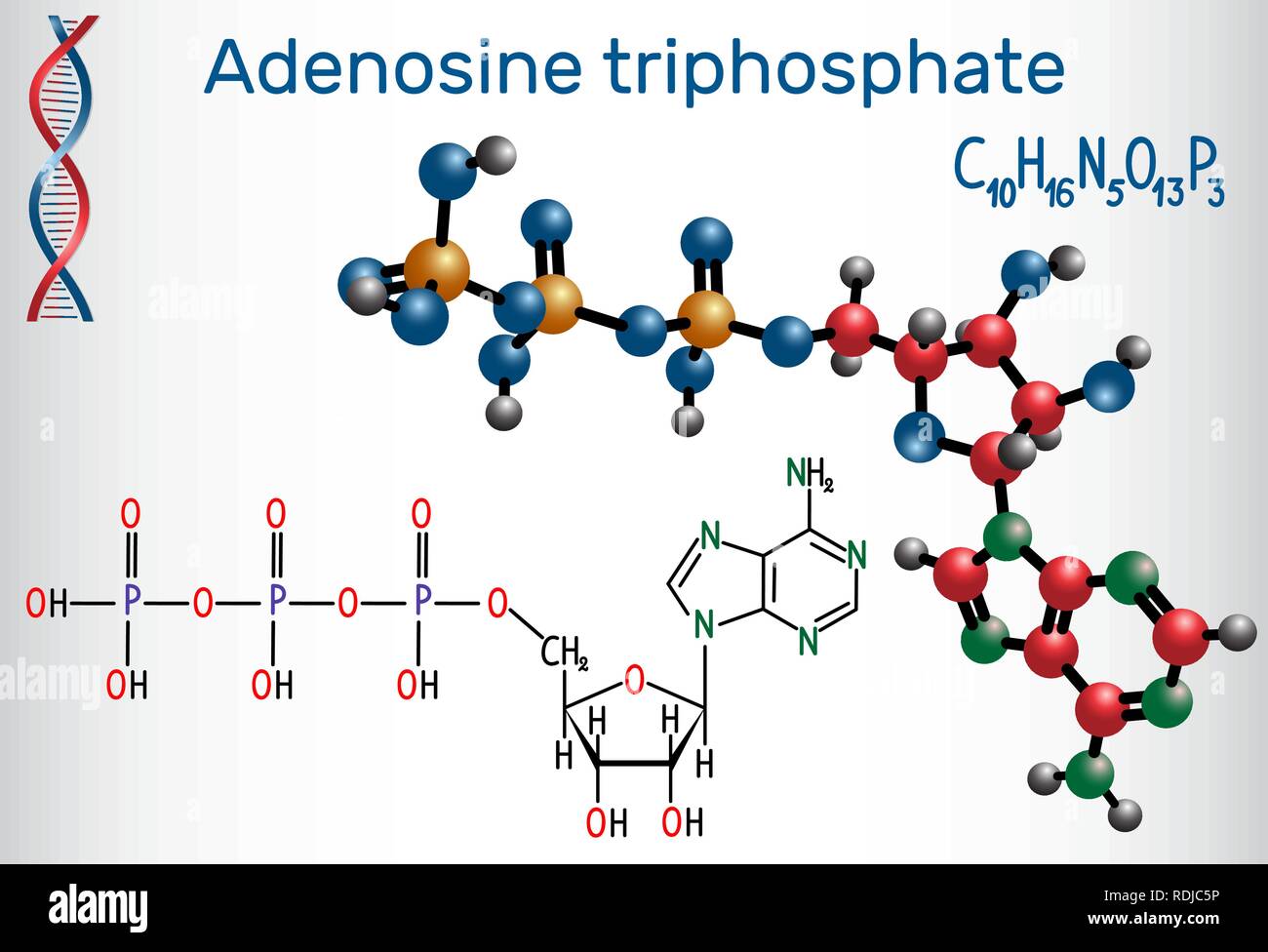 L'adenosina trifosfato (ATP), la molecola intracellulare è il trasferimento di energia e necessari per la sintesi di RNA. Formula chimica di struttura e la molecola Illustrazione Vettoriale