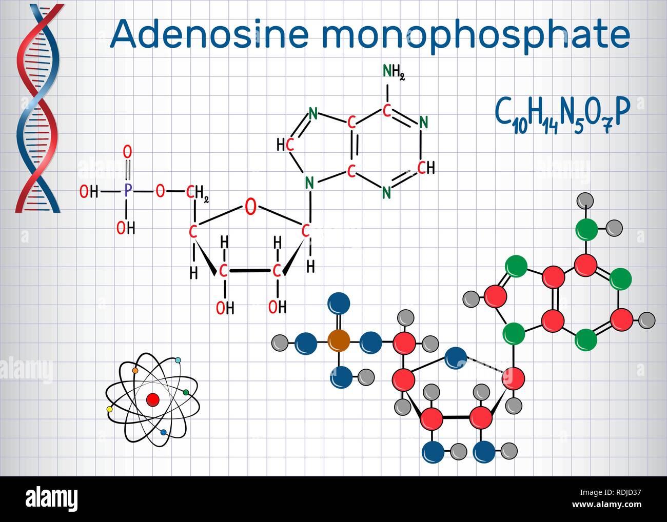 L'adenosina monofosfato ciclico (AMP) molecola, è un estere di acido fosforico e il nucleoside adenosina monomero nella produzione RNA . Foglio di carta Illustrazione Vettoriale