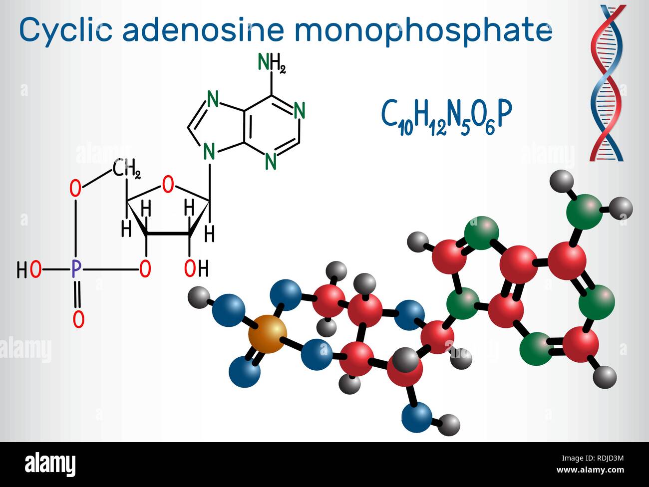 Adenosina monofosfato ciclico (cAMP) molecola, è un derivato di adenosina trifosfato (ATP) e utilizzato per la transduzione del segnale intracellulare . St Illustrazione Vettoriale