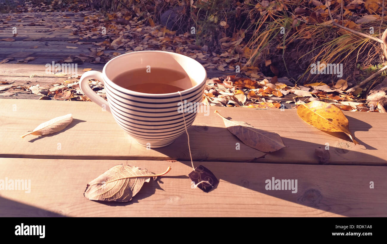 Grande tazzina con organici tè verde sulla superficie in legno naturale di un fresco e accogliente mattina autunnale fuori nel sole caldo con foglie di autunno intorno a. Foto Stock