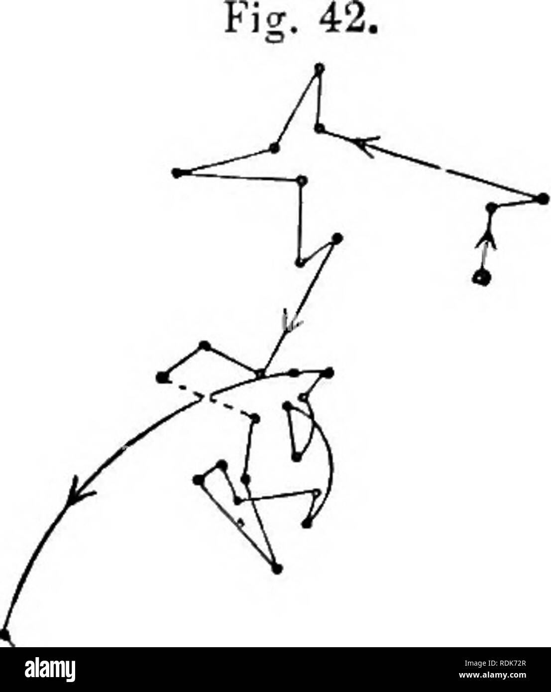 . Il potere di movimento nelle piante. Piante; Botanica. W5 OIRCUMNUTATION di piantine. Cap. Ho questo era in parti diritte e in parti decisamente a zig-zag, indicando circumnutation. Il giorno seguente le altre riprese secondario è stato osservato; è stato un po' più avanzata in età, per la parte superiore, invece di dipendere Yertically verso il basso, si fermarono in corrispondenza di un angolo di 45° al di sopra dell'orizzonte. La punta del germoglio pro- jected obliquamente "4 di pollice al di sopra del suolo, ma la stretta delle nostre osservazioni, che durò 47 h., era cresciuto, principalmente verso la sua base^ ad una altezza del ' 85 di un pollice. Il fil Foto Stock