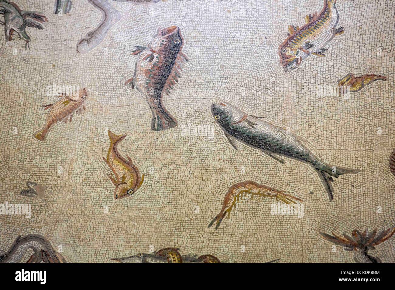 Gaziantep, Turchia - Giugno 07, 2014: pesci mosaico in Gaziantep Zeugma Museo del Mosaico su Giugno 07, 2014. Zeugma mosaico nel Museo di Gaziantep, Turchia è uno Foto Stock