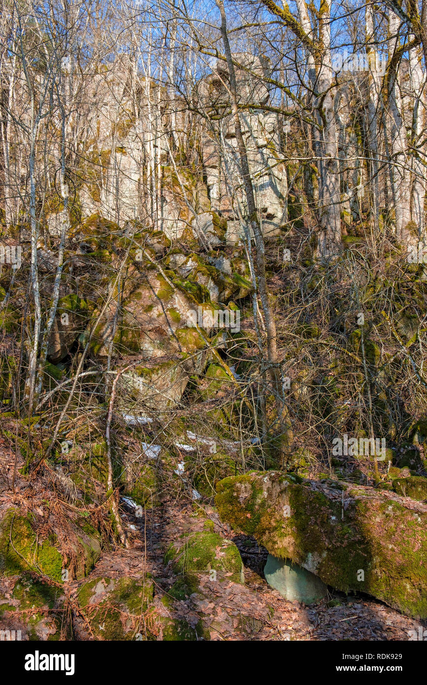 Boulder terreno ad una rupe nella foresta Foto Stock