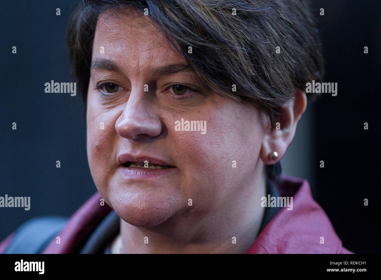 Arlene Foster, Irlanda del Nord politico e leader dei democratici di partito unionista al di fuori n. 10 di Downing Street, Whitehall, London, England, Regno Unito Foto Stock