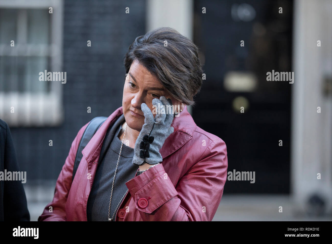 Arlene Foster, Irlanda del Nord politico e leader dei democratici di partito unionista al di fuori n. 10 di Downing Street, Whitehall, London, England, Regno Unito Foto Stock