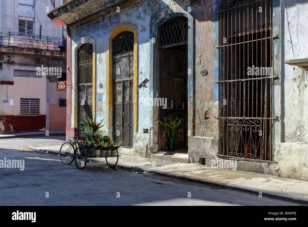 Fiori in attesa di essere consegnati nelle strade della città vecchia Havana, Cuba Foto Stock
