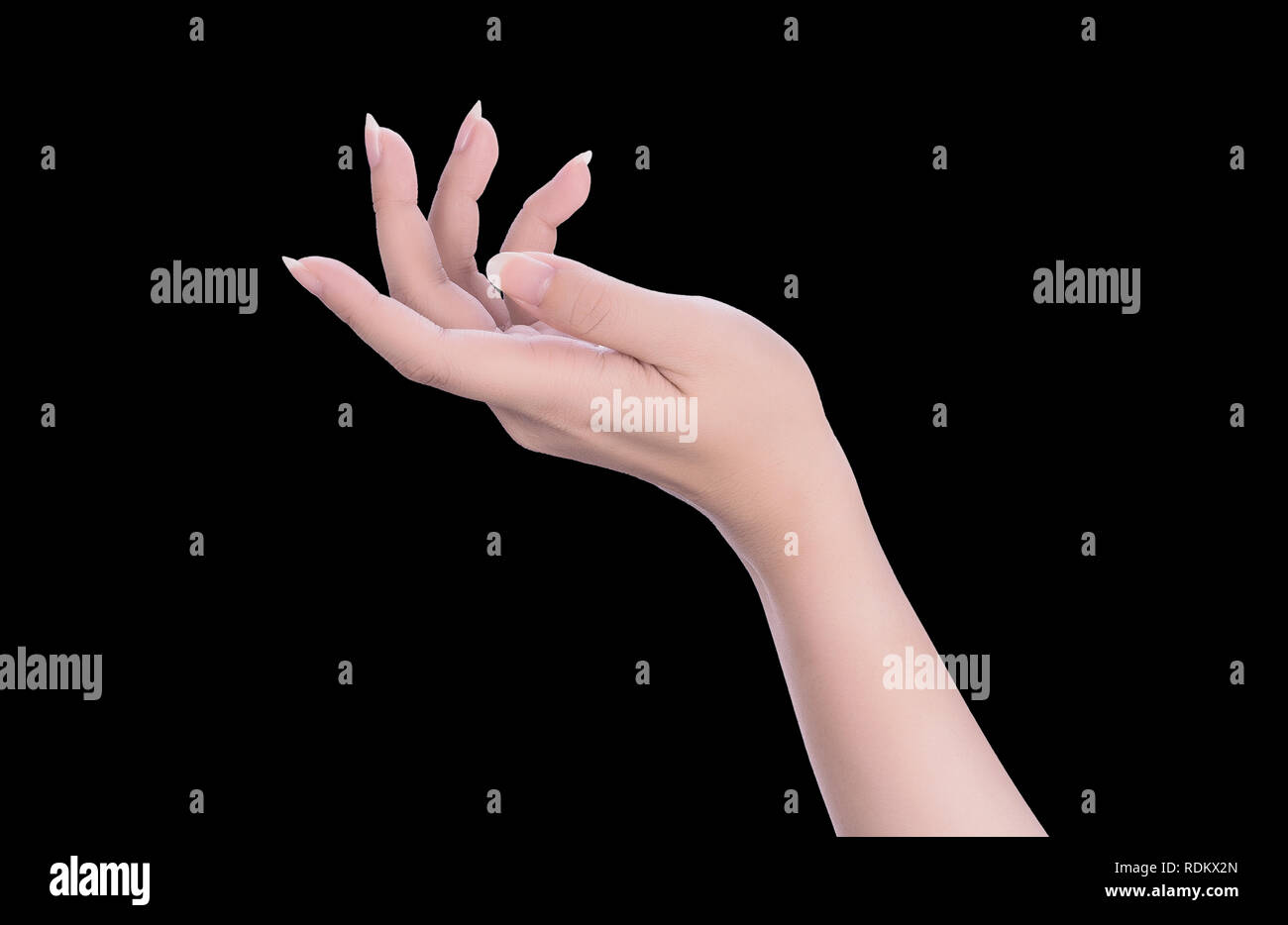 Bella donna mani isolati su sfondo nero, il concetto di azienda una cosa virtuale o mano manicure cura, closeup. Foto Stock