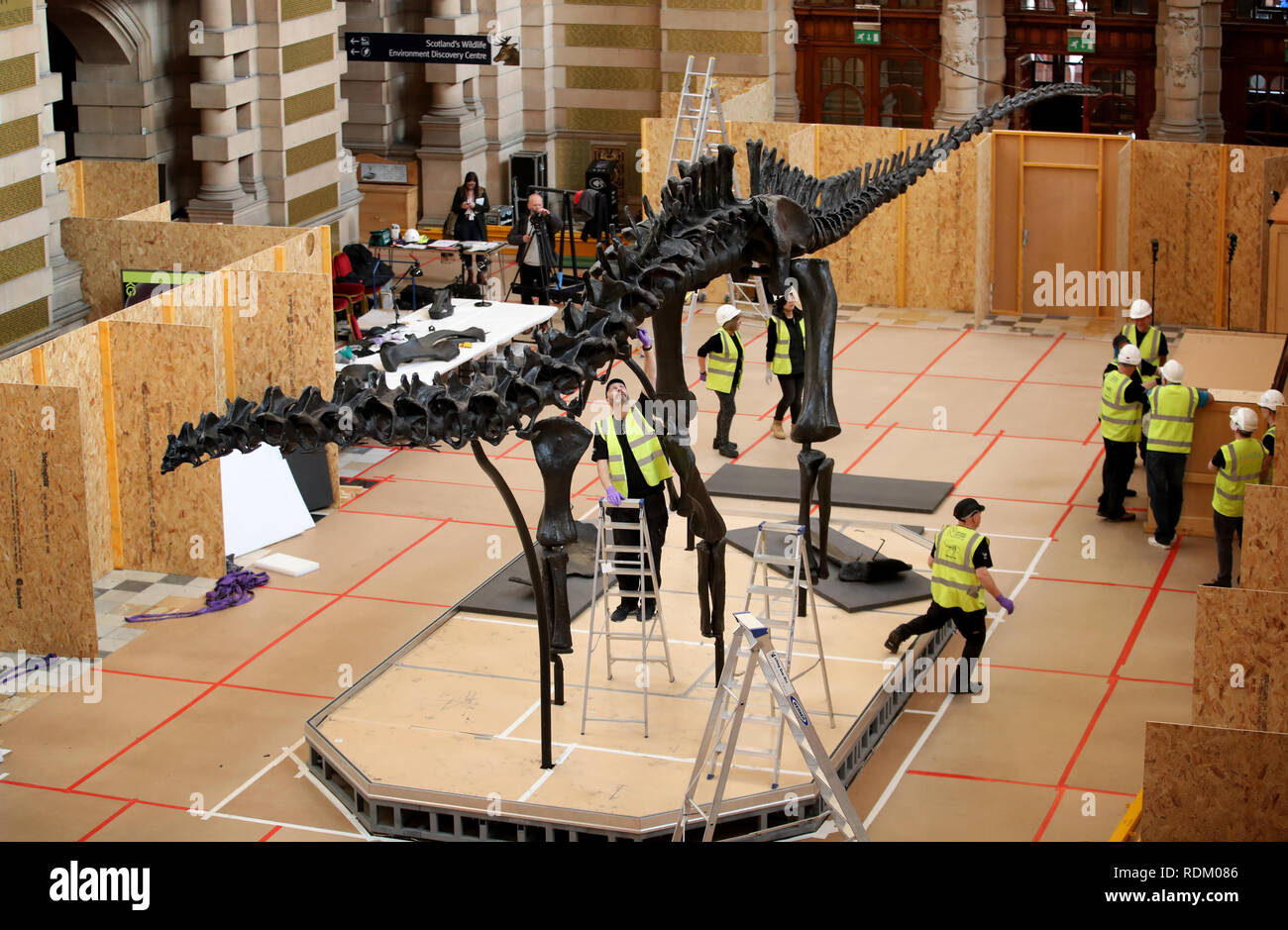 Dippy, il famoso diplodocus dal Museo di Storia Naturale, è rimesso insieme dopo di essere trasportati a Glasgow in 16 casse su misura, prima di andare sul display nella sala principale al Kelvingrove Art Gallery and Museum. Foto Stock