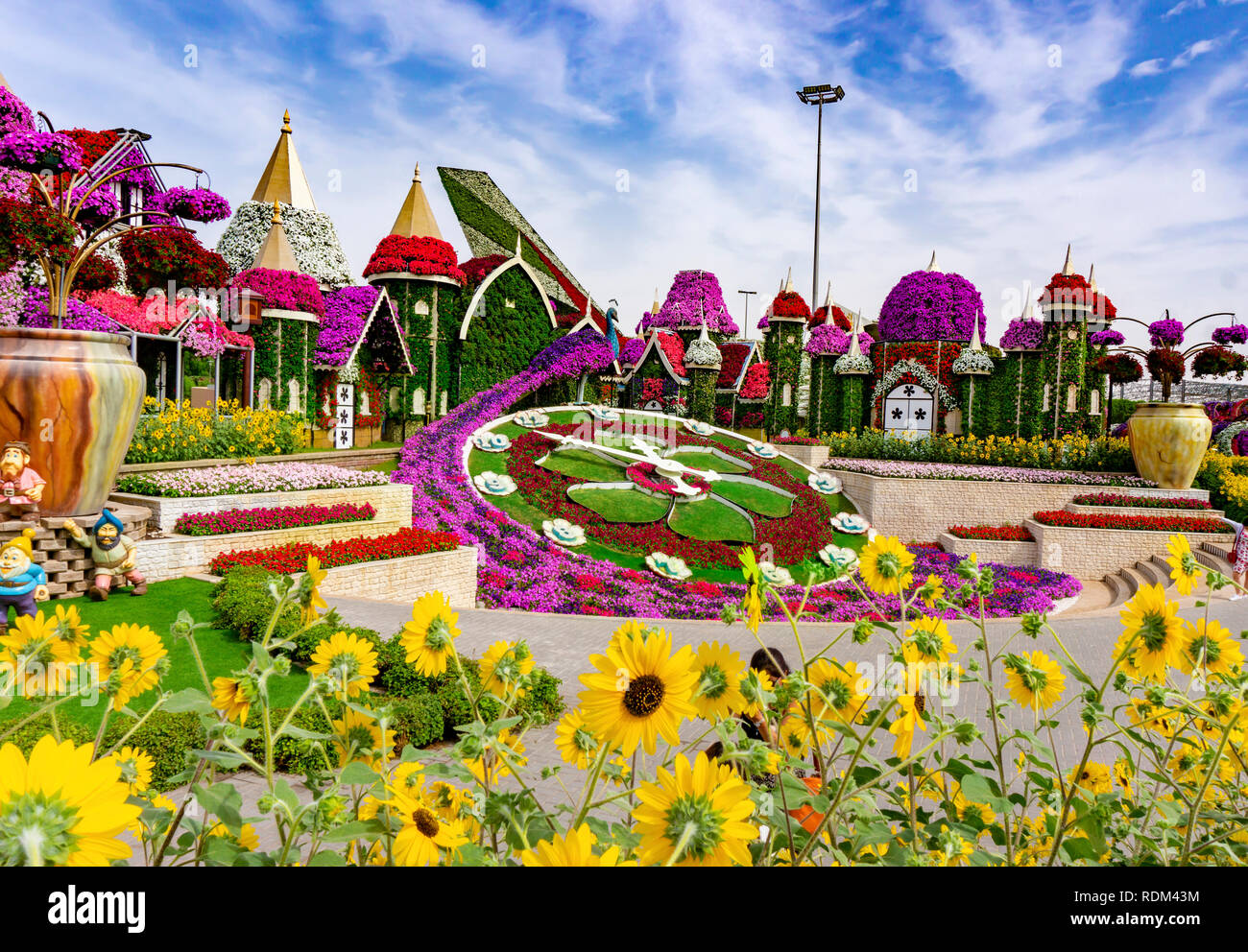 Dubai EMIRATI ARABI UNITI,11. 06. 2018 : luminoso orologio floreale con piccolo giardino case in il miracolo Giardino a Dubai Foto Stock