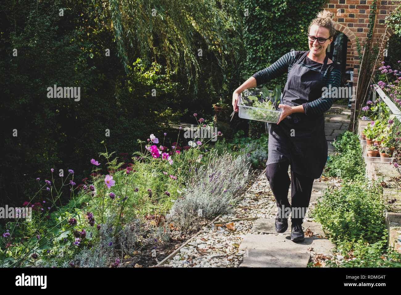 Sorridente donna bionda con gli occhiali e grembiule camminando lungo il percorso del giardino, portando il vassoio con le erbe fresche. Foto Stock