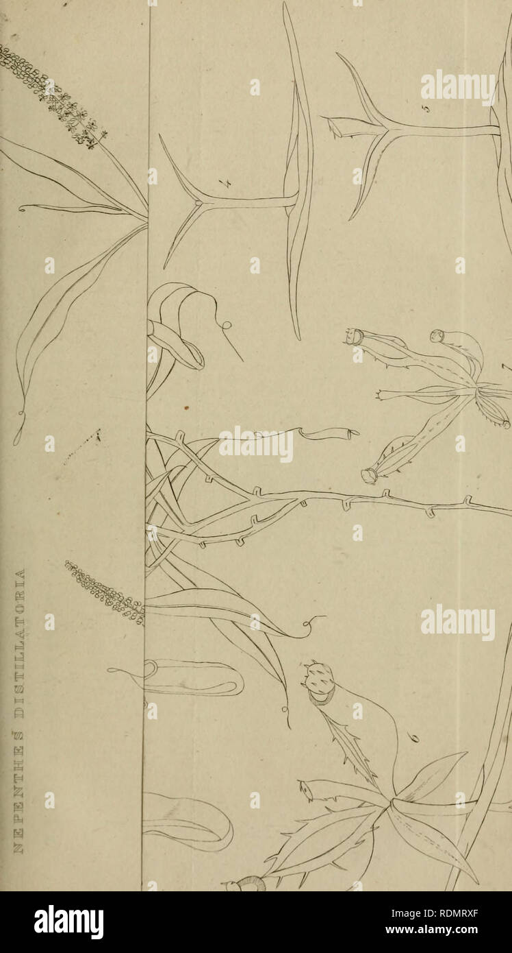 . Edinburgh New filosofico ufficiale. . Si prega di notare che queste immagini vengono estratte dalla pagina sottoposta a scansione di immagini che possono essere state migliorate digitalmente per la leggibilità - Colorazione e aspetto di queste illustrazioni potrebbero non perfettamente assomigliano al lavoro originale. Foto Stock