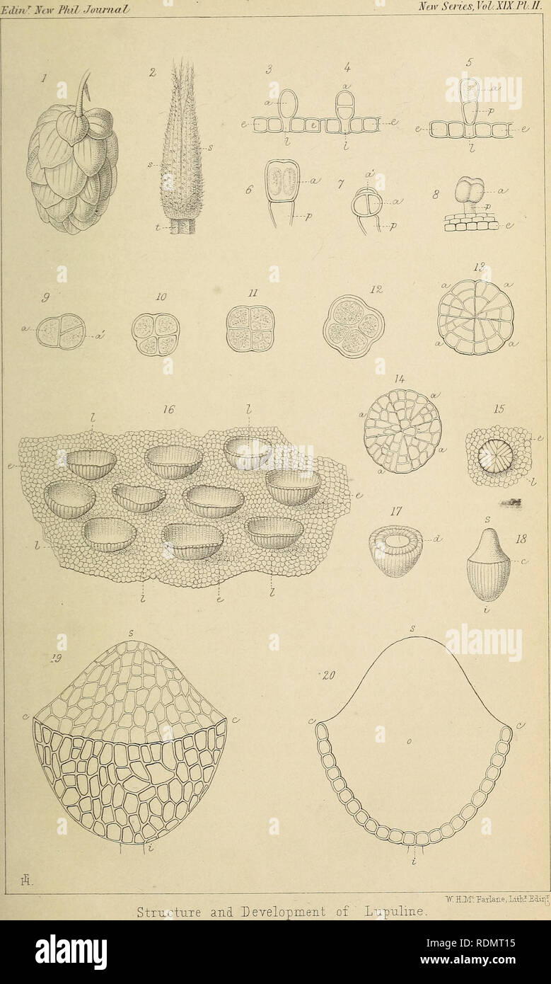 . Edinburgh New filosofico ufficiale. . Si prega di notare che queste immagini vengono estratte dalla pagina sottoposta a scansione di immagini che possono essere state migliorate digitalmente per la leggibilità - Colorazione e aspetto di queste illustrazioni potrebbero non perfettamente assomigliano al lavoro originale. Foto Stock