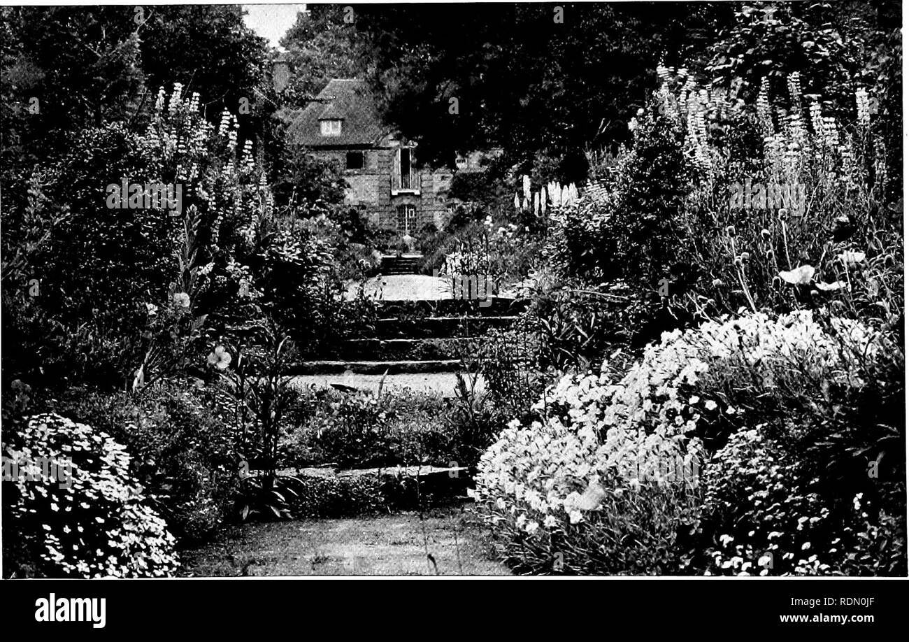 . Giardini per piccole case di campagna. Giardini. FIG. 7.âBORDER dai gradini inferiori. Punto di vista "c" sul gener.AL PL.-N (FIG. 4) e PL.NTING PIANO (FIG. 6).. FIG. 8.âTHE casa dal fondo del giardino. Punto di vista piano (FIG. 4) e le piantine piano (FIG. 6). Â E sul gener.AL. Si prega di notare che queste immagini vengono estratte dalla pagina sottoposta a scansione di immagini che possono essere state migliorate digitalmente per la leggibilità - Colorazione e aspetto di queste illustrazioni potrebbero non perfettamente assomigliano al lavoro originale. Jekyll, Gertrude, 1843-1932; Weaver, Lawrence, Sir, 1876-. Londra, vita di paese [ecc. ]; New York, C. S Foto Stock