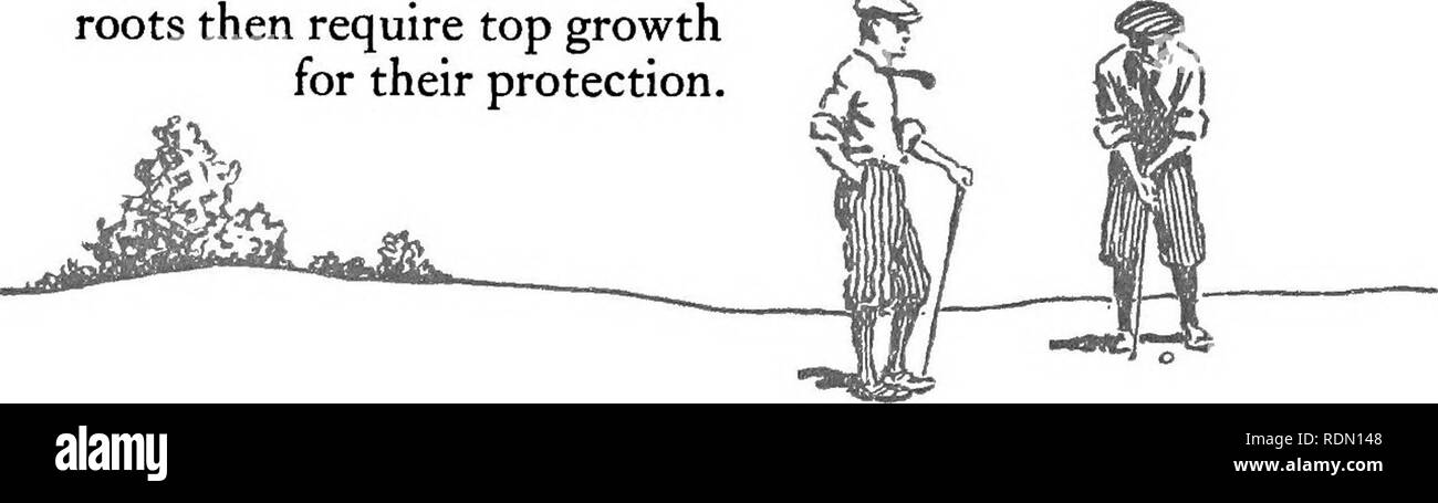 . La semina e la cura dei campi da golf. Campi da golf; graminacee. ^ 0. M. Scott &AMP; figli Co., Marysville, Ohio Blue-erba, che verranno probabilmente utilizzati sul fairway, a differenza di altre erbe settentrionale, è una calce-amante. La calce non dovrebbe essere usato sul putting-green a:s il preferibile erbe, il Bents e Fescues, sono indifferenti ad essa, mentre alcune varietà indesiderabili, come trifoglio bianco, prosperare sul suolo di lime. Un notevole svantaggio nell'utilizzo di calce è la stimolazione della crescita di piante infestanti. Manutenzione di corso Z' ha più efficientemente corso integrato richiede una cura costante per il suo mantenimento. Foto Stock